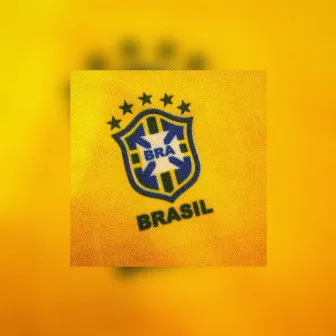 SELECÃO BRASILEIRA O BRASIL QUE VAI GANHAR A COPA DO MUNDO MUSICA DO BRASIL by LILLA