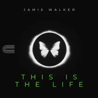 This Is The Life by Jamie Walker