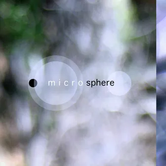 Microsphere by Microsphere