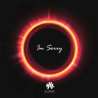 I'm Sorry by DJ Straw