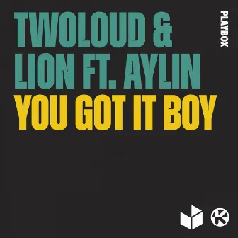 You Got It Boy by Lion