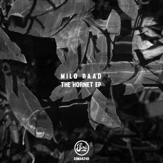 The Hornet EP by Milo Raad