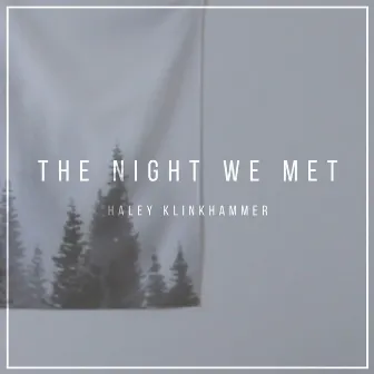 The Night We Met by Haley Klinkhammer