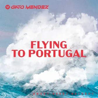 Flying to Portugal by Gato Mendez