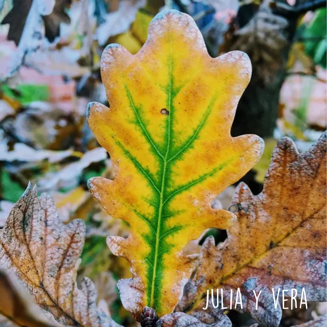 Julia y Vera