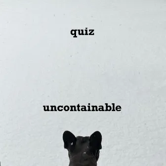 Uncontainable by Quiz