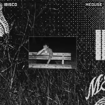 Meduse by Ibisco