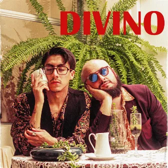 DIVINO by Estella