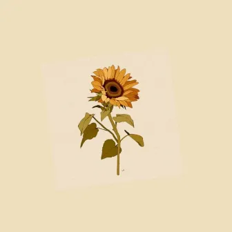 SUNFLOWER by Bellyz G