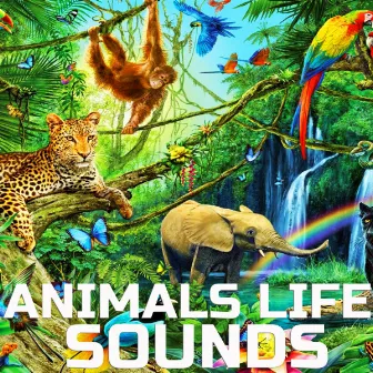 Animals Life Sounds by Animals Life Sounds