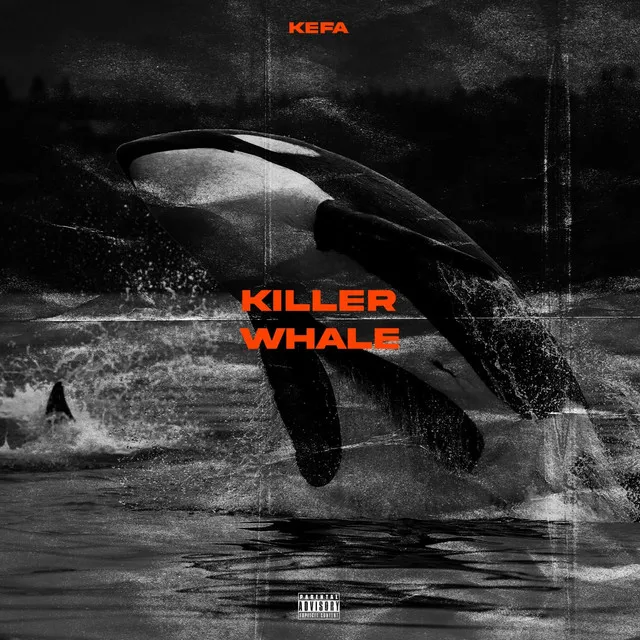 Killer Whale