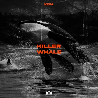 Killer Whale by Kefa