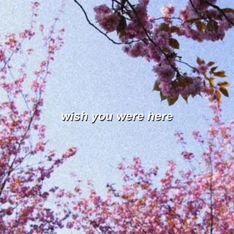 Wish You Were Here by Silent Voice