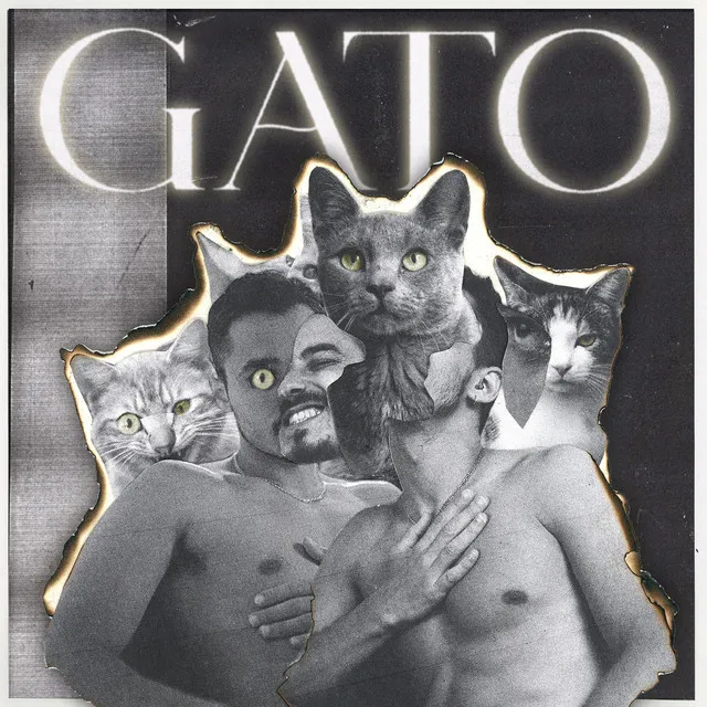 Gato