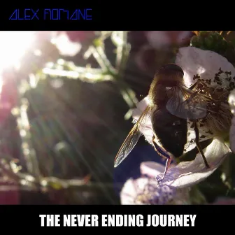 The Never Ending Journey by Alex Romane