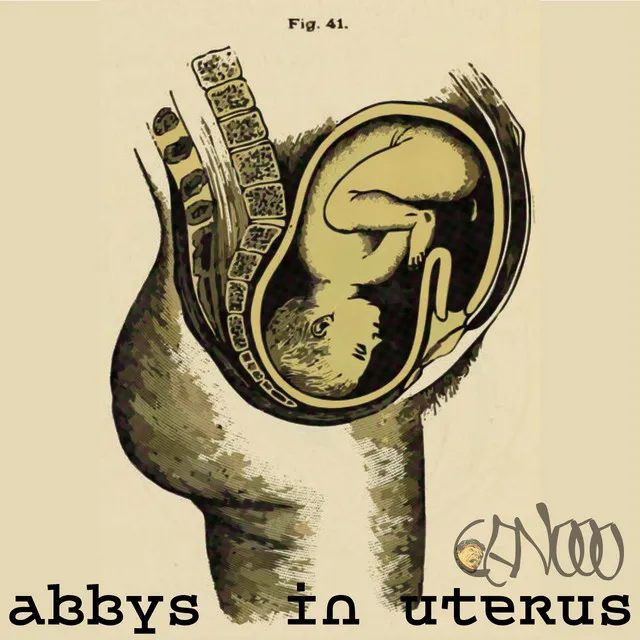 Abbys In Uterus