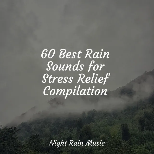 60 Best Rain Sounds for Stress Relief Compilation