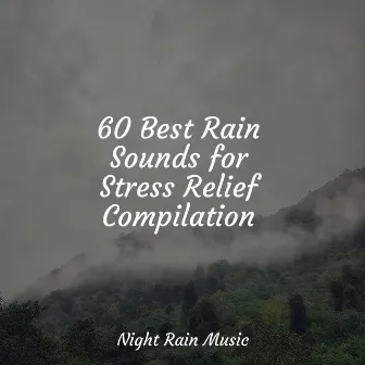 60 Best Rain Sounds for Stress Relief Compilation by Exam Study Classical Music