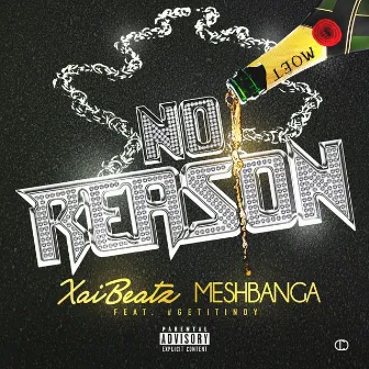 No Reason (feat. #GetitIndy) by Mesh Banga