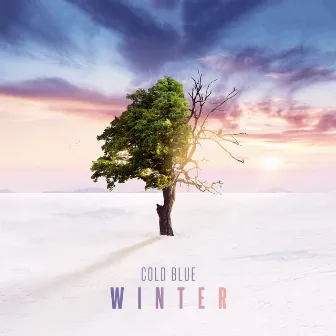 Winter by Cold Blue