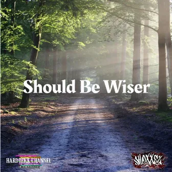 Should Be Wiser by Shoxxez