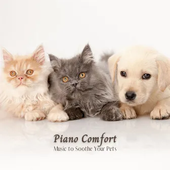 Piano Comfort: Music to Soothe Your Pets by The Jazz Cats