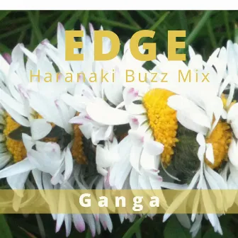 Edge (Haranaki Buzz Mix) by Unknown Artist