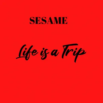 Life's a Trip by Sesame