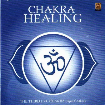 Chakra Healing by Vamanan