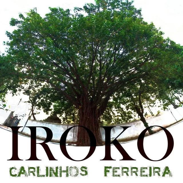 Iroko