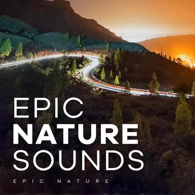 Epic Nature Sounds