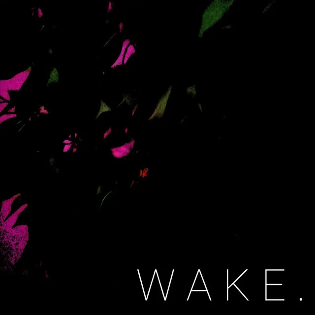 Wake.