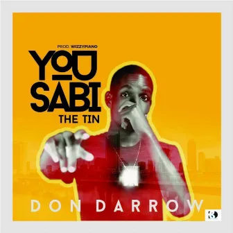 You Sabi the Tin by Don Darrow