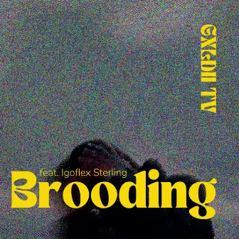 Brooding by Igoflex Sterling