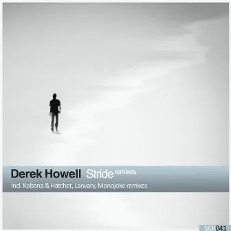 Stride (Remixes) by Derek Howell