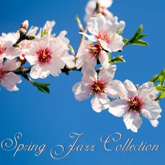 Spring Jazz Collection by Smooth Jazz Creator