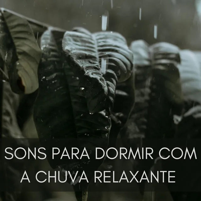 Sons Para Dormir Com A Chuva Relaxante