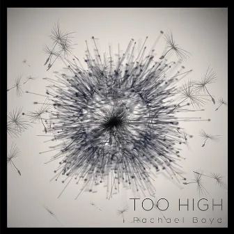 Too High by Rachael Boyd