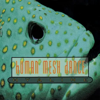 Hyaline by human mesh dance