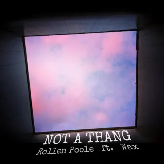 Not a Thang by Rollen Poole