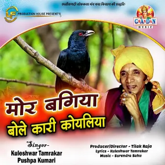 Mor Bagiya Bole Kari Koyaliya (Chhattisgarhi Geet) by Kuleshwar Tamrakar