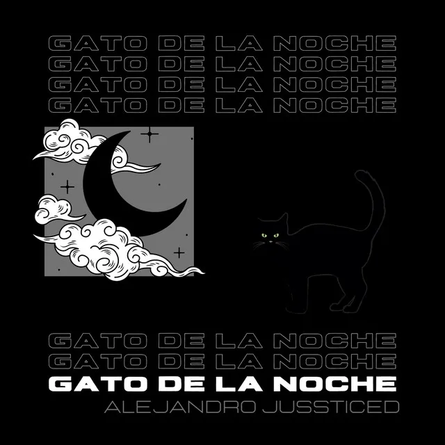 Gato de la Noche