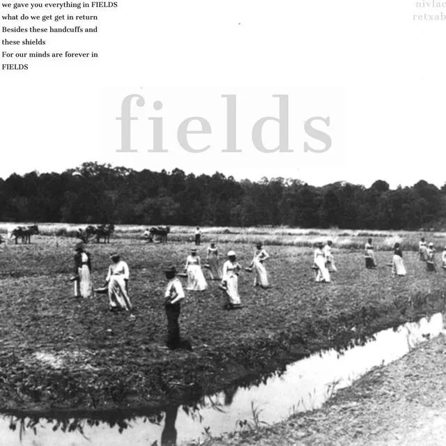 Fields