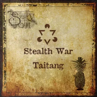 Stealth War by Taitang