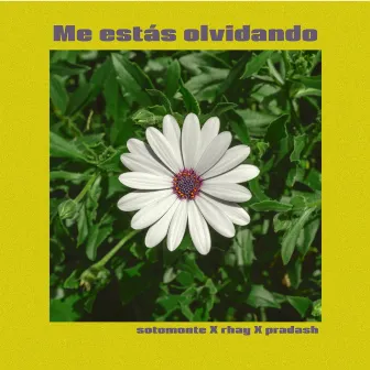 Me Estás Olvidando by Unknown Artist