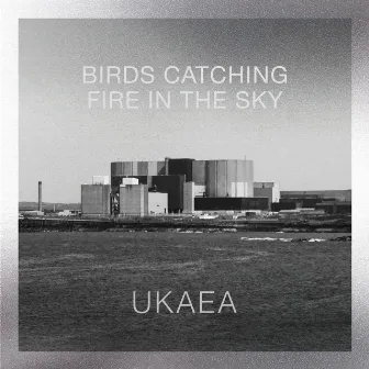 Birds Catching Fire in the Sky by UKAEA