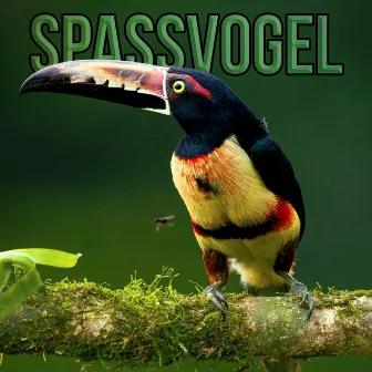 Spaßvogel by Dr. Jesus