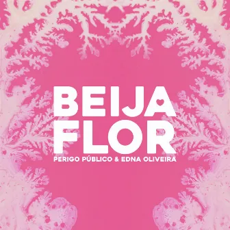 Beija-flor by Edna Oliveira