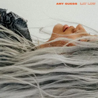 Lay Low by Amy Guess