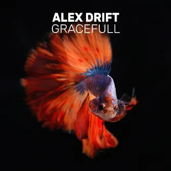 Gracefull by Alex Drift